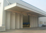 Professional Metal Structures Hanger Buildings with SGS