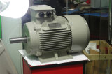 Y2 Series AC Electric Motor Cast Iron 4p 2.2kw