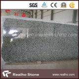 China Ocean Green Granite for Countertop