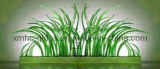 Indoor Decorative Green Plant Glass Sculpture (XMHCH-072)