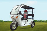 Passenger Tricycle for 2 People (DTR-12B)