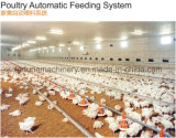 High Quality Poultry Feeding Equipment