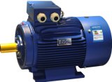 Y2 Series Induction Electric Motor
