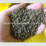 Agriculture Water Soluble Fertilizer Granular DAP