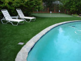 Residential Artificial Grass/Swimming Pool Lawn (OG-11)