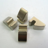 Special Shape Rare Earth Magnet