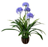 Popular Decorative Artificial Plants Narcissus Artificial Flowers