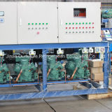 Carlyle Parallel Compressor Unit for Fruit & Vegetable Cold Storage