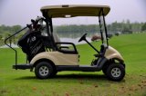 Two Seats Professional Electric Golf Cart Made by Dongfeng Motor