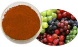 French Grape Seed Extract Outstanding Antioxidant