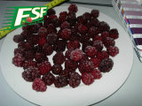 2014 New Season IQF Blackberry Puree Without Seed