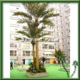 Artificial Coconut Tree With Fruit (OA-C-007)