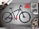 Good Quality Mountain Bicycle From China
