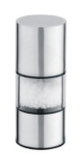 Stainless Steel Pepper Mill (CL1Z-FT17)