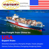 Professional China Shipping Agent-Container Shipment to USA (freight forwarder)