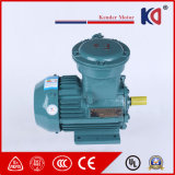 Ex-Proof Electric Induction AC Asynchronous Electric Motor