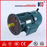 Electric AC Induction Embr Motor for Food Processing Machinery