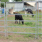 Galvanized Farm Livestock Panel Fence / Cattle Panels