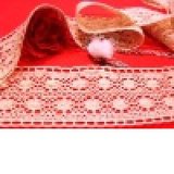 100% Embroidery Cotton Lace, Afric Embroidery Cotton Lace (EMB76)