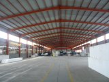 Steel Structure/Pre Engineered Steel Structure (SS-48)