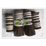 Horse Double Drawn Tail Hair (AHDS001)