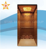 Home Elevator with Rose Gold Etching Stainless Steel Xr-J03