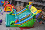 Parrot Inflatable Slide for Sale Chsl464