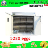 CE Passed Fully Automatic Chicken Egg Incubation Machine (WQ-5280)