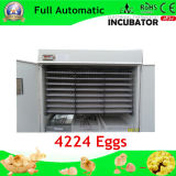 New Arrival High Efficiency Poultry Egg Incubators Prices