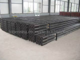 Oil Casing Pipes