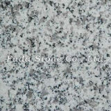 G602 Luna Pearl Granite (FD-059)