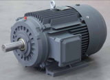 Y2 Series AC Electric Motor Cast Iron 2p 1.1kw