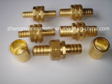 Brass Pipe Fitting for Garden Hose (WL80-16)