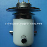 Spdt Ceramic Vacuum Relays (RJ2C) 15kv