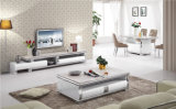 Modern TV Stand White European Style Marble TV Stands (DS-2016B)