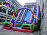 Giant Inflatable Slide for Amusement Park