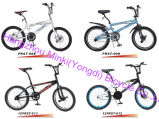 Freestyle Bicycle (FRST-008)