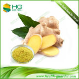 Ginger Root Extract for Spice, Beverage, and Shampoo