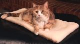 Pet Bed Warmer with CE and RoHS Approved