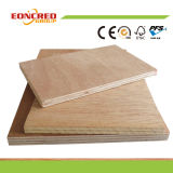 Plywood for Furniture or Construction