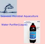 Purifying Agent Used for Aquacultture Field