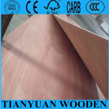 China Manufacturer 12mm Commercial Plywood/ Bintangor Okoume Faced Plywood