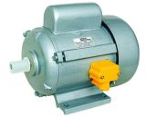 Explosion-Proof Synchronous Electric Motors (JY Series)