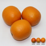 Artificial Fruit, Imitative Polyfoam Orange (OGW09-1-0903)