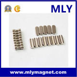 Permanent Neodymium Magnet Magnetic Material (MLY016)