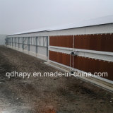 Steel Structure Poultry House with Full Set Equipment