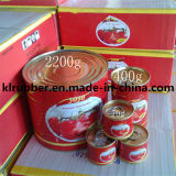 70g-4500g Canned Tomato Paste for Diets