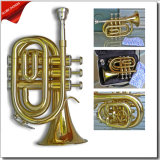 Stc-013ptg Bb Key Gold Lacquer Pocket Trumpet