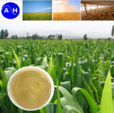 China Plant Source Amino Acid Fertilizer