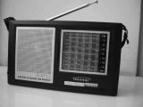 Radio Receiver (RA-0308)